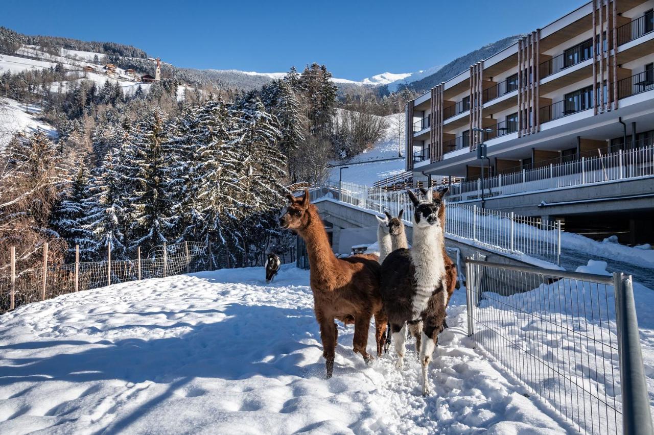 Hotel Torgglerhof Brixen Exteriör bild