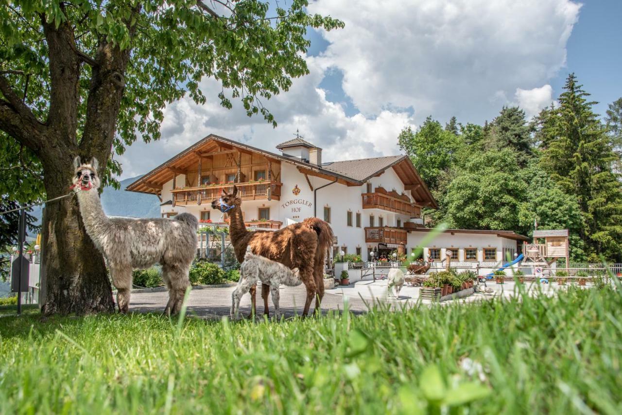 Hotel Torgglerhof Brixen Exteriör bild